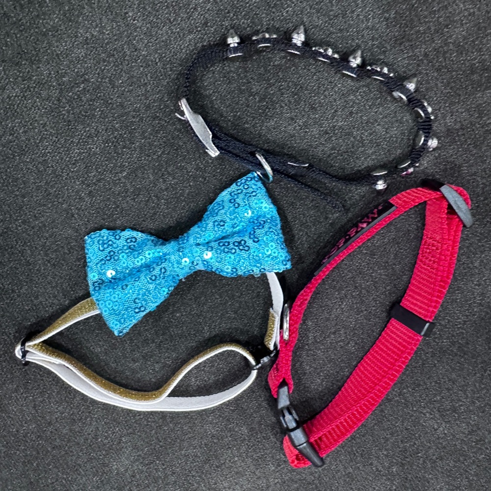 Dog collars and bow tie. Black collar-size S. Bow tie- adjustable. Red collar-M